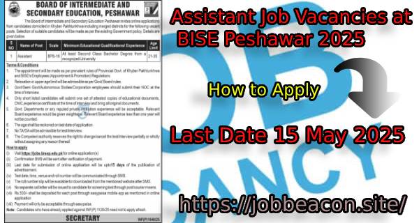 BISE Peshawar Job Assistant 2025
